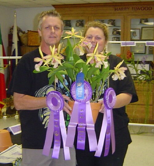 Best Small Cattleya And Best In Show