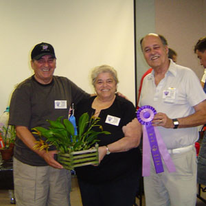 June 2007 Plant Table Winner