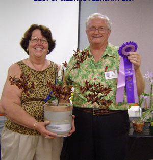 February 2007 Plant Table Winner