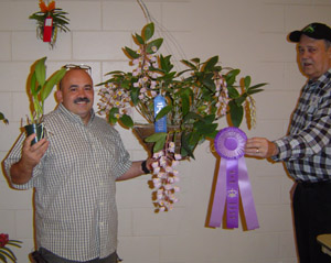 April 2008 Plant Table Winner 