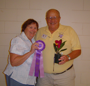 Feb 2008 Plant Table Winner