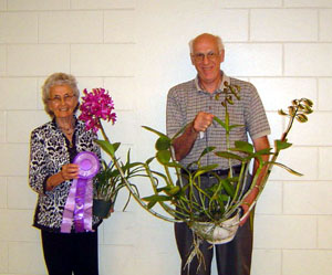 July 2010 Plant Table Winner 