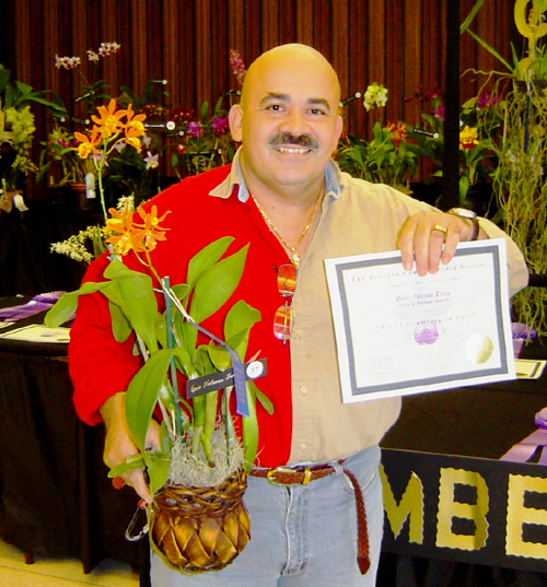 Best Epidendrum Winner