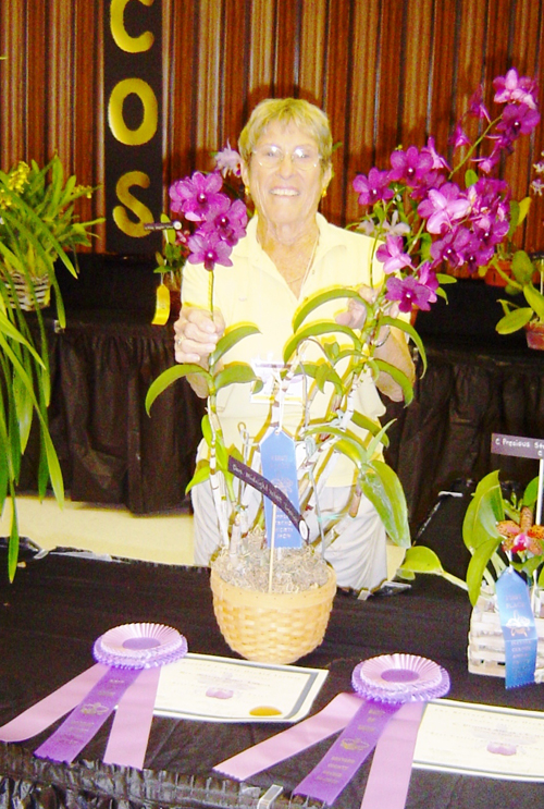 Best Dendrobium Winner