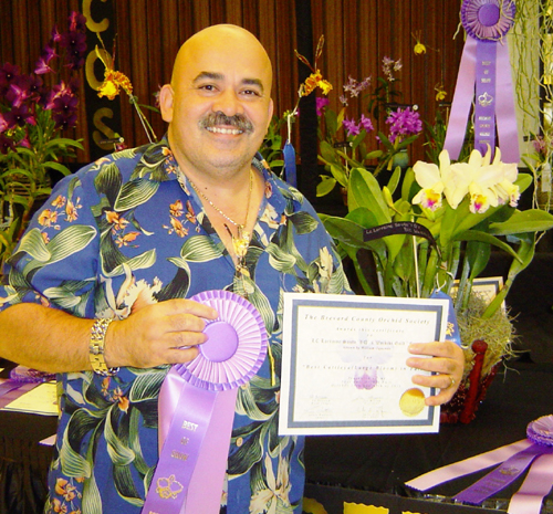 Best Large Cattleya Winner
