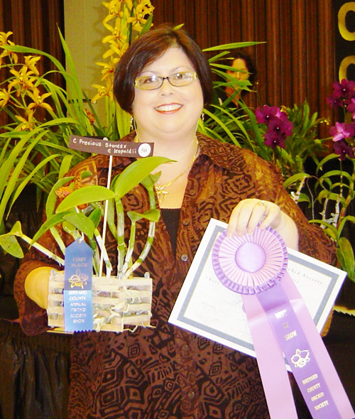 Best Small Cattleya Winner