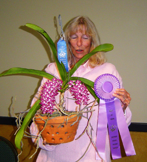 January Plant Table Winner 