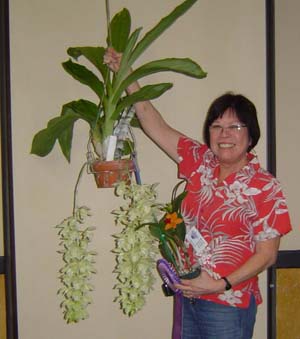 October Plant Table Winner 