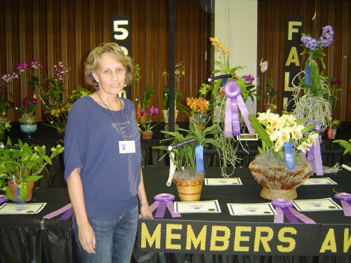 Best Epidendrum-Encyclia Winner