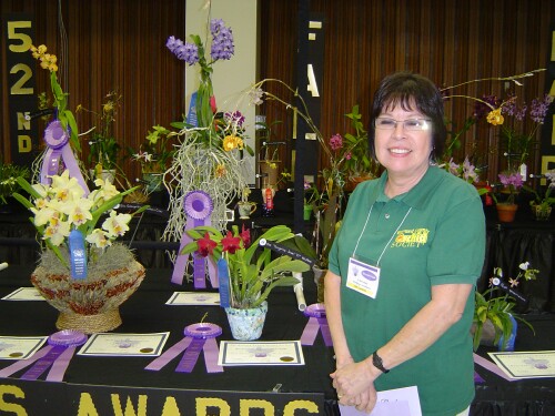 Best Small Cattleya Winner