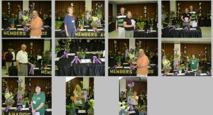 2012 Fall Orchid Fair Winners