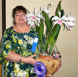 June Plant Table Winner