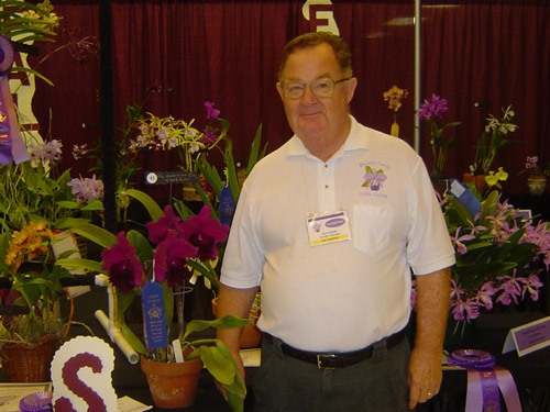 Best Large Cattleya Winner