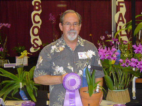 Best Phalaenopsis Winner