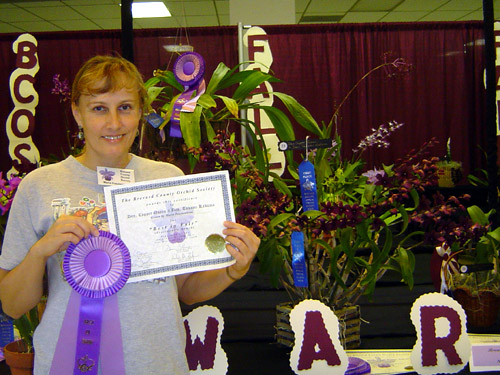 Best Dendrobium and Best in Show Winner