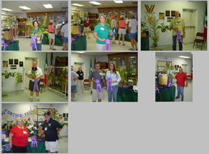 2008 Spring Orchid Fair Winners